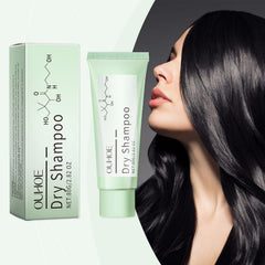 Leave In Dry Shampoo Conditioner for Fresh Clean Styled Hair