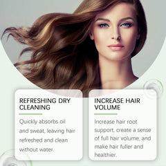 Leave In Dry Shampoo Conditioner for Fresh Clean Styled Hair