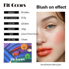Fit Colors 12 Color Makeup Palette for Eyes Face Beauty